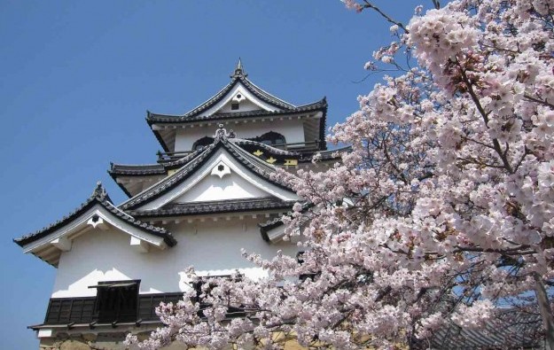 日本春景